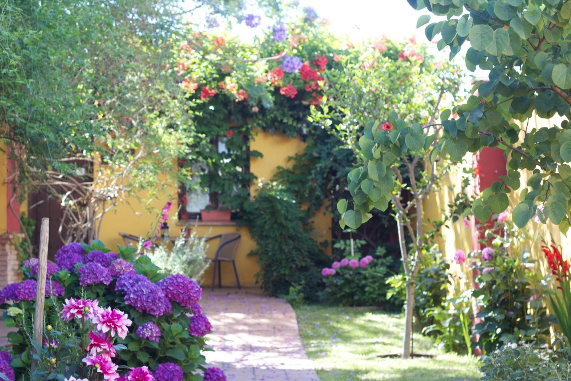 Hotel Donana Blues Matalascañas Εξωτερικό φωτογραφία